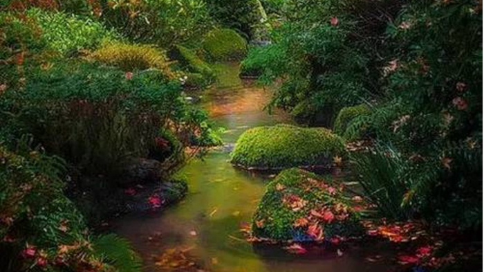 50 岁以后，不要自作多情....