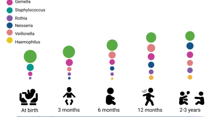 口腔微生物组发育：母乳喂养的影响
