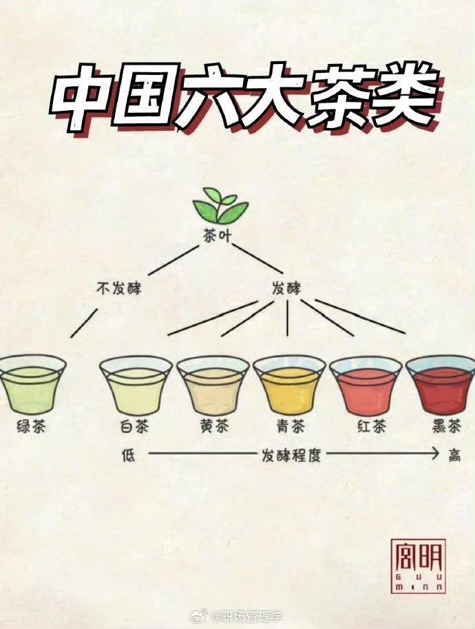 中国六大茶类科普以及如何选择适合自己的茶