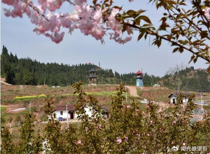 南充嘉陵这处花海在笑迎着又一个赏花高峰到来……|长寿谷|嘉陵|东坡