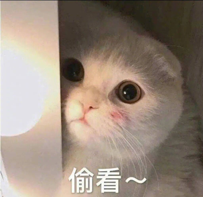 表情包你当我小猫咪不会发怒拿图点赞吱声
