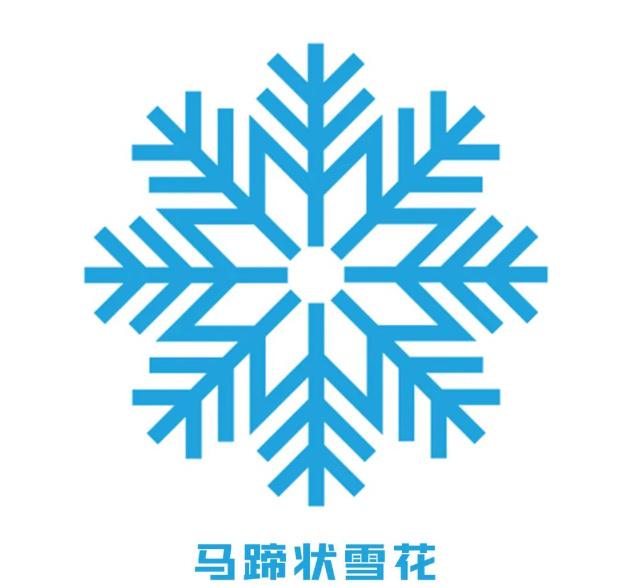 各代表团来领取专属雪花