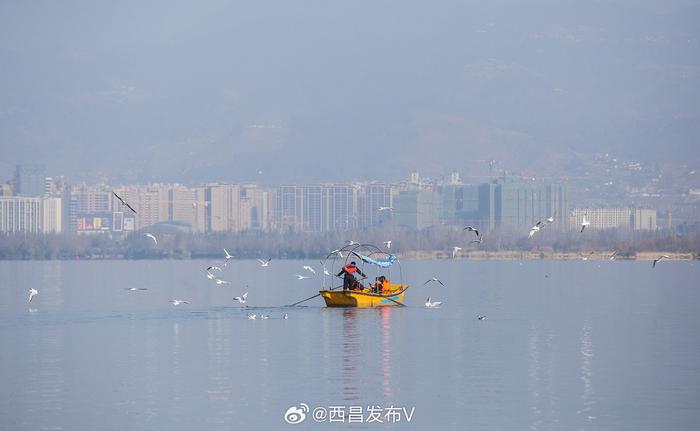 暢遊西昌丨舟行碧波上人在畫中游