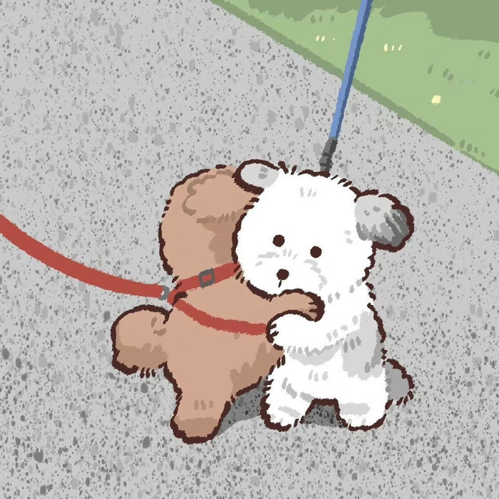 今日份治愈头像