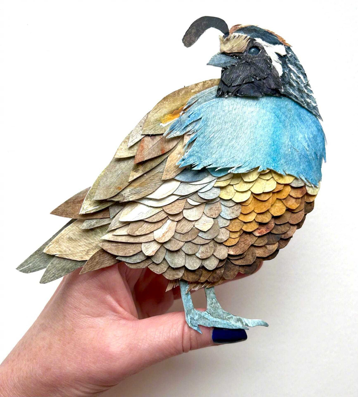 艺术家 sarah suplina 纸艺作品 | www.sarahsuplina.