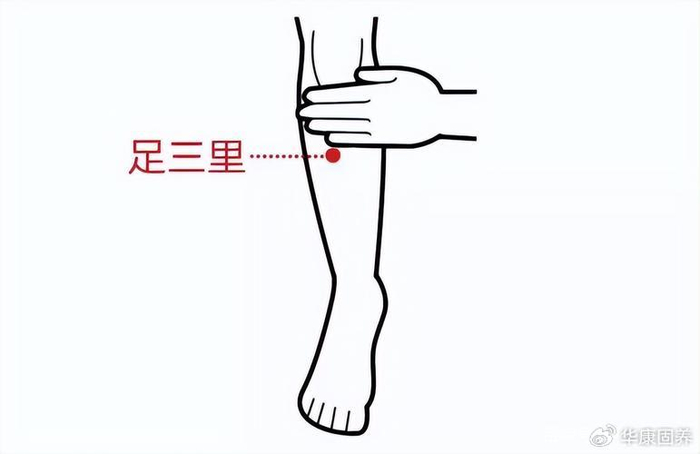 春天长个子,艾灸这两个穴位|艾灸|穴位|足三里_新浪新闻