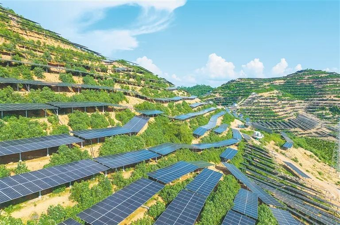 屯昌新兴镇:兴产强村富农|屯昌县_新浪新闻