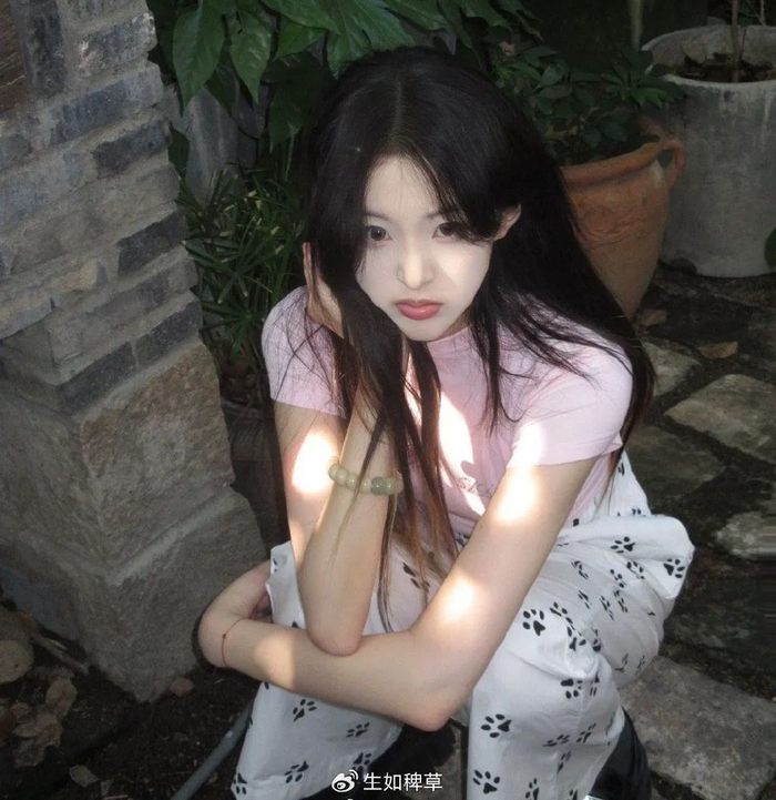 顾语涵|陈萍萍|范建_新浪新闻