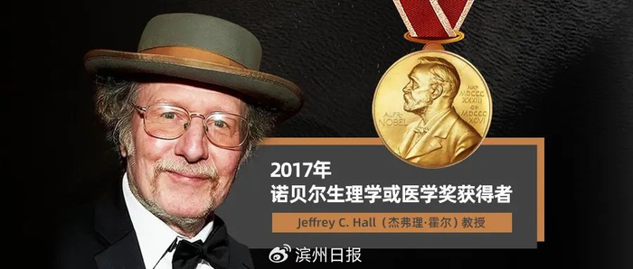 官宣!游泳世界冠军朱倩蔚担任麦弗逊品牌代言人