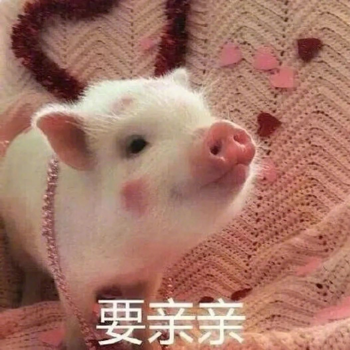 热门表情包,轻松get聊天新姿势!