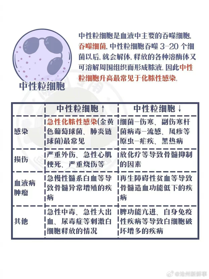 一分钟读懂血常规的24个指标