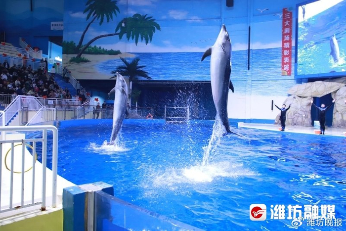 【更好潍坊 | 免票,打折!潍坊一大批景区惠民大放送】