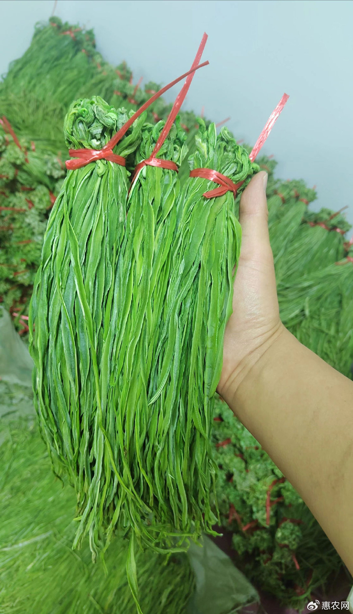 吵上热搜!嘎嘣脆的贡菜,到底是不是晒干的莴笋?__财经头条