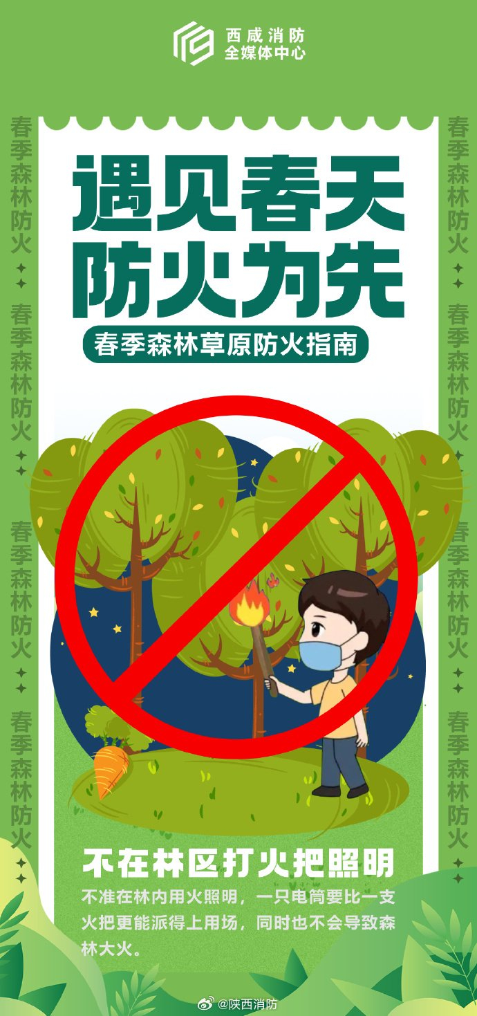 保护森林人人有责