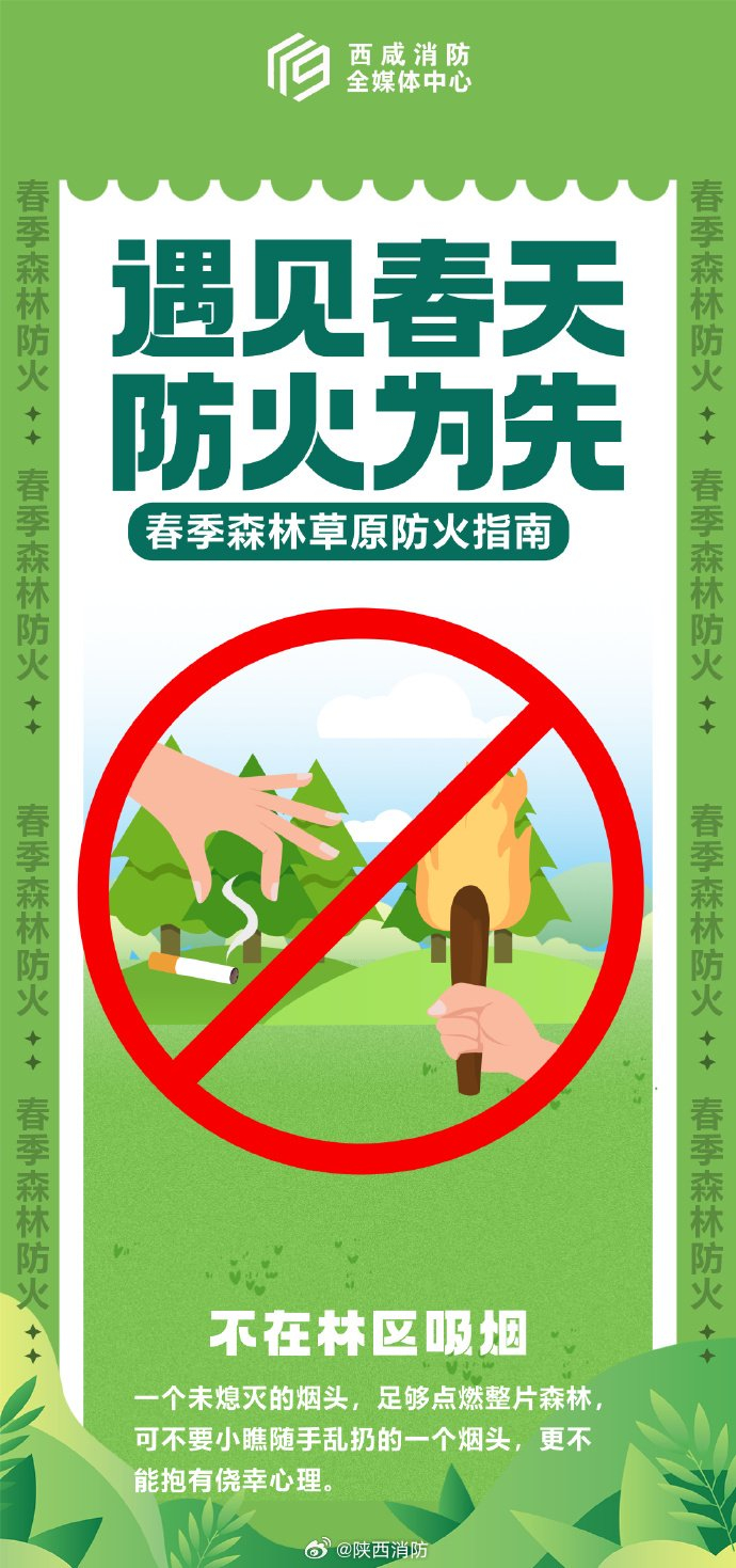 保护森林人人有责