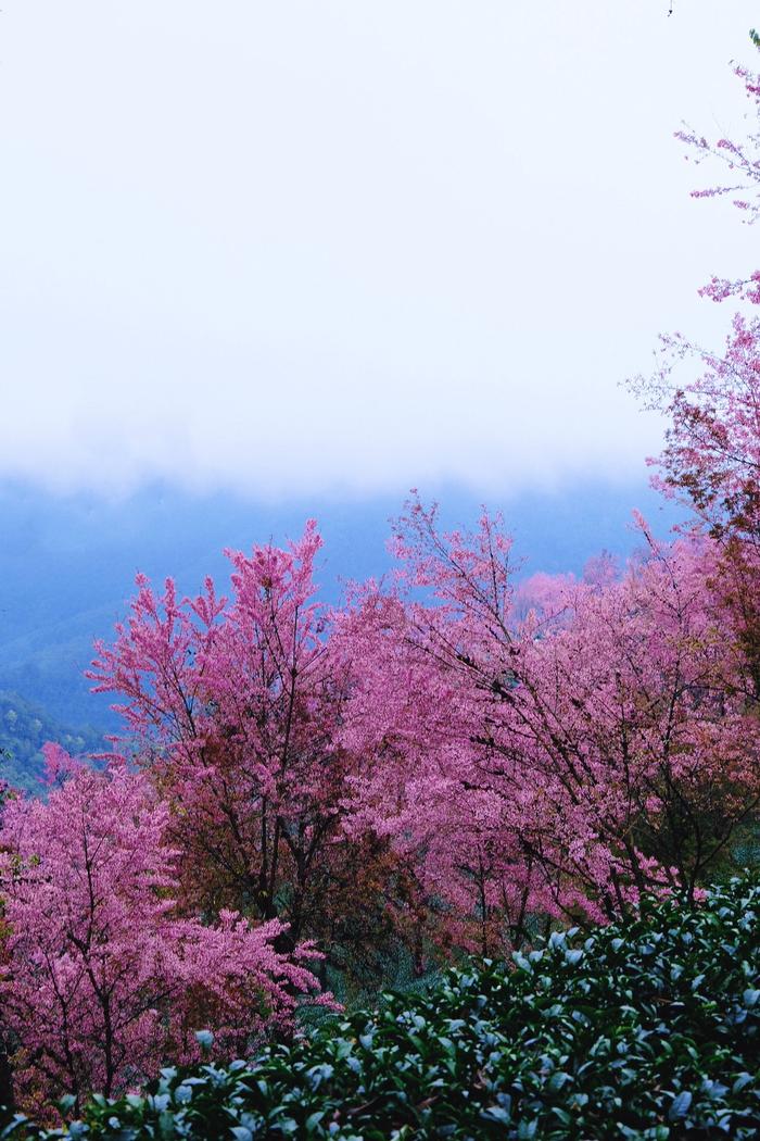 大理南涧县旅游景点图片