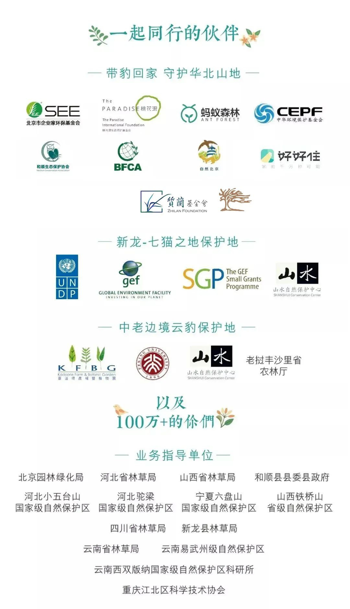 豹乡田的春天,恋爱的蟾蜍和豹子的签名板