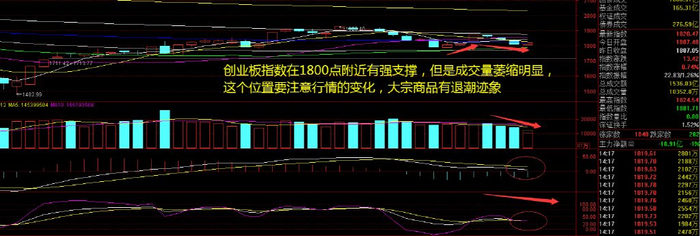 晨鸣纸业|一季报|固态_新浪新闻