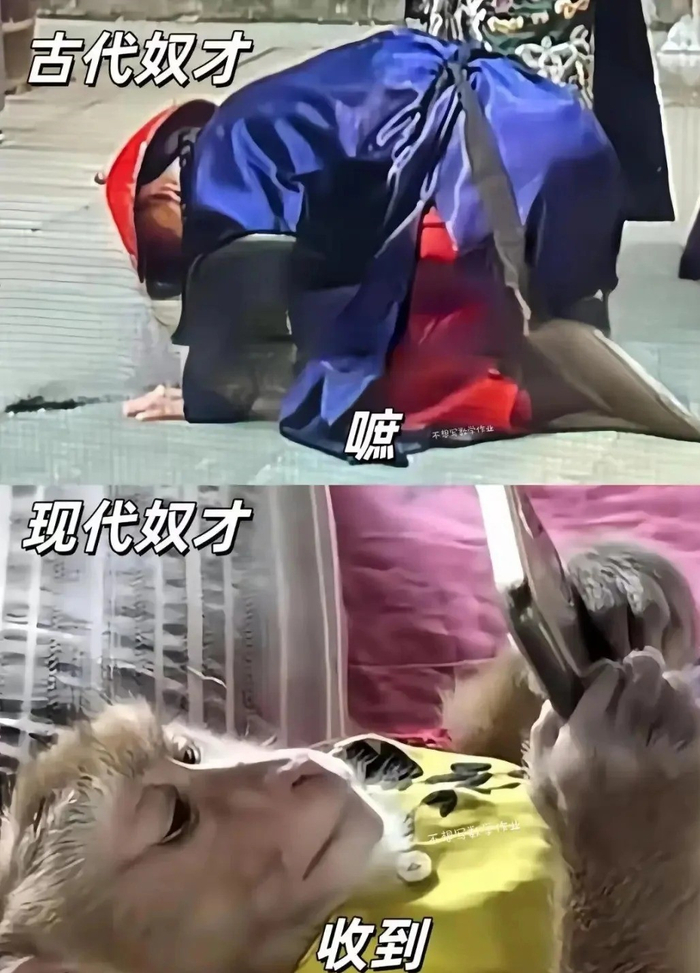 古代奴才:嗻 现代奴才:收到