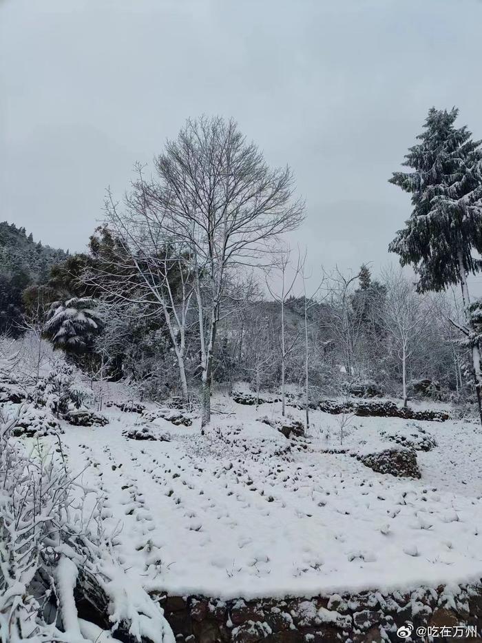 下大雪的风景图片图片