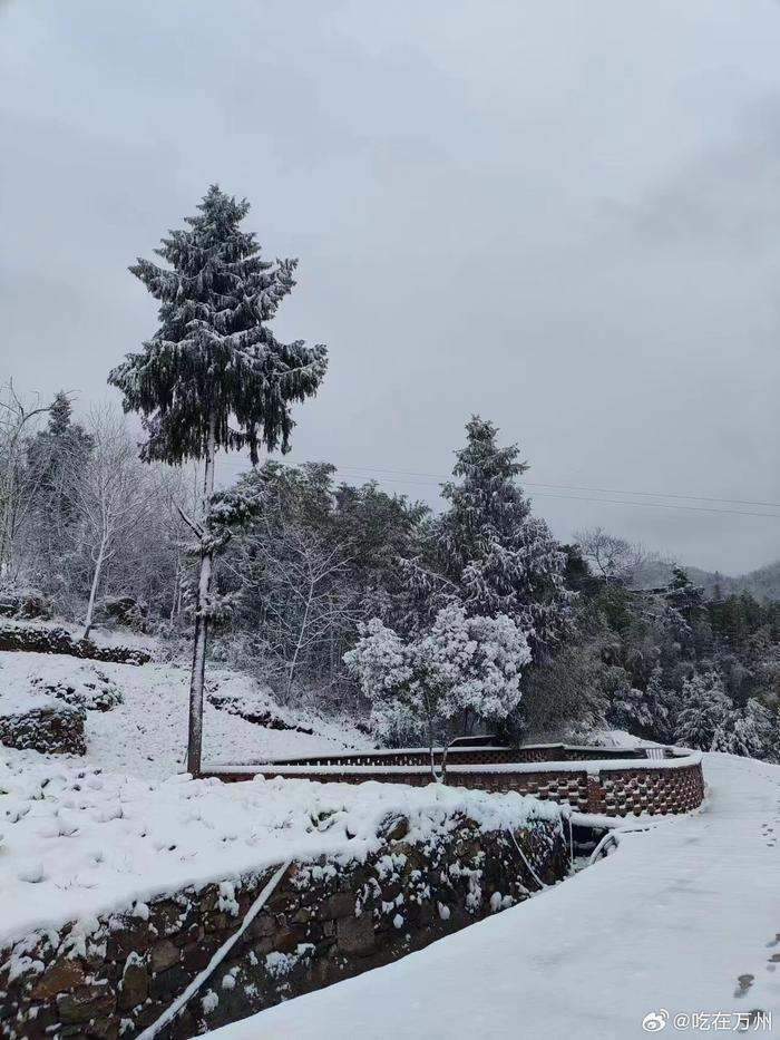 大雪天 农村图片