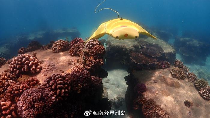 欄目,拍攝了仿蝠鱝柔體潛水器觀測珊瑚礁的情形,科考表明仿生魔鬼魚