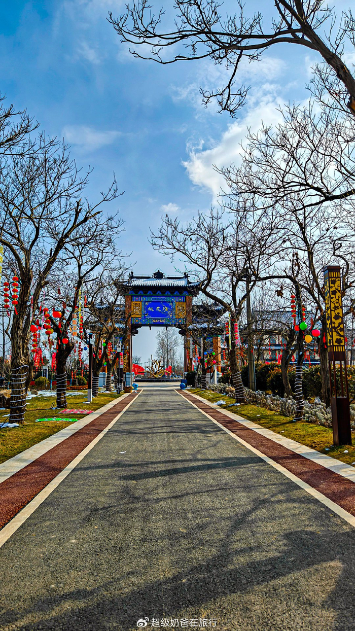 龙年来龙冈桃花源|赶桃源大集沾寿星福气__财经头条