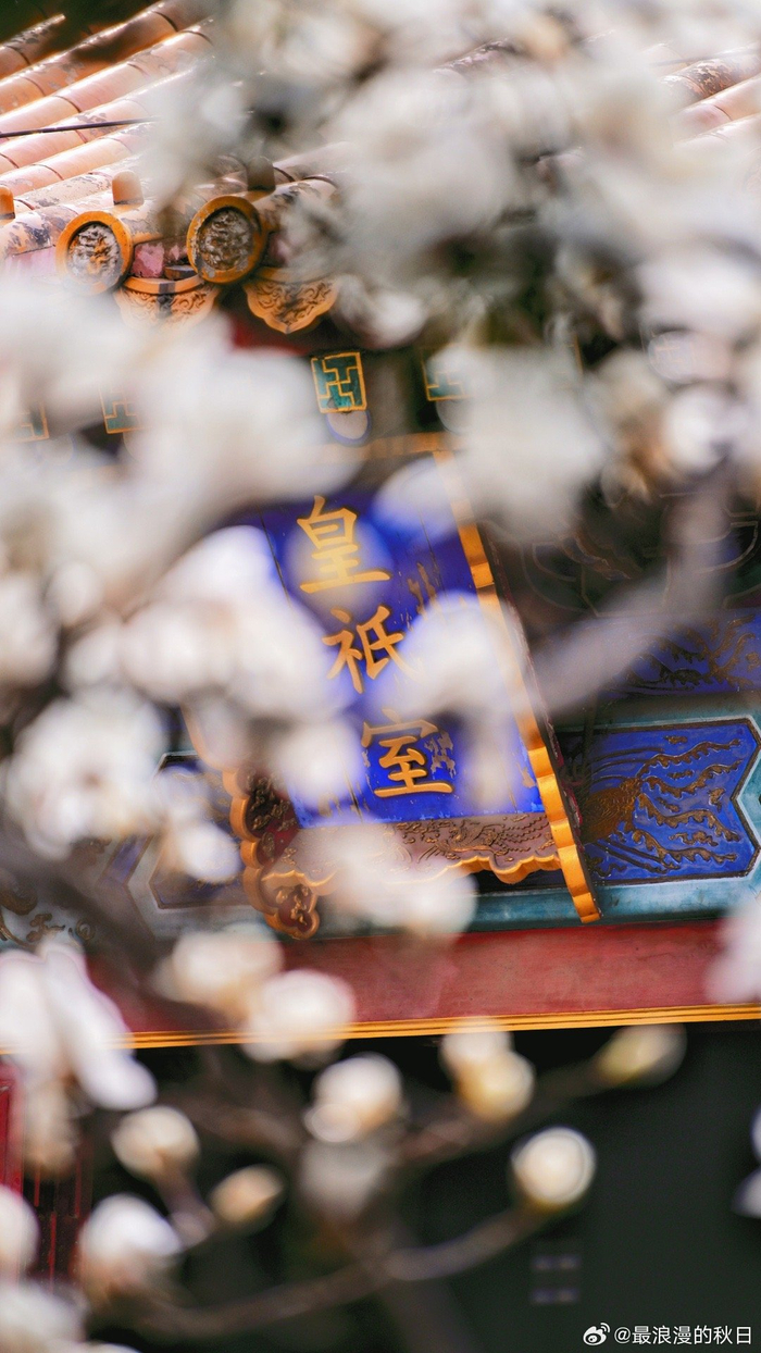 繁花三月北京地坛公园摄影