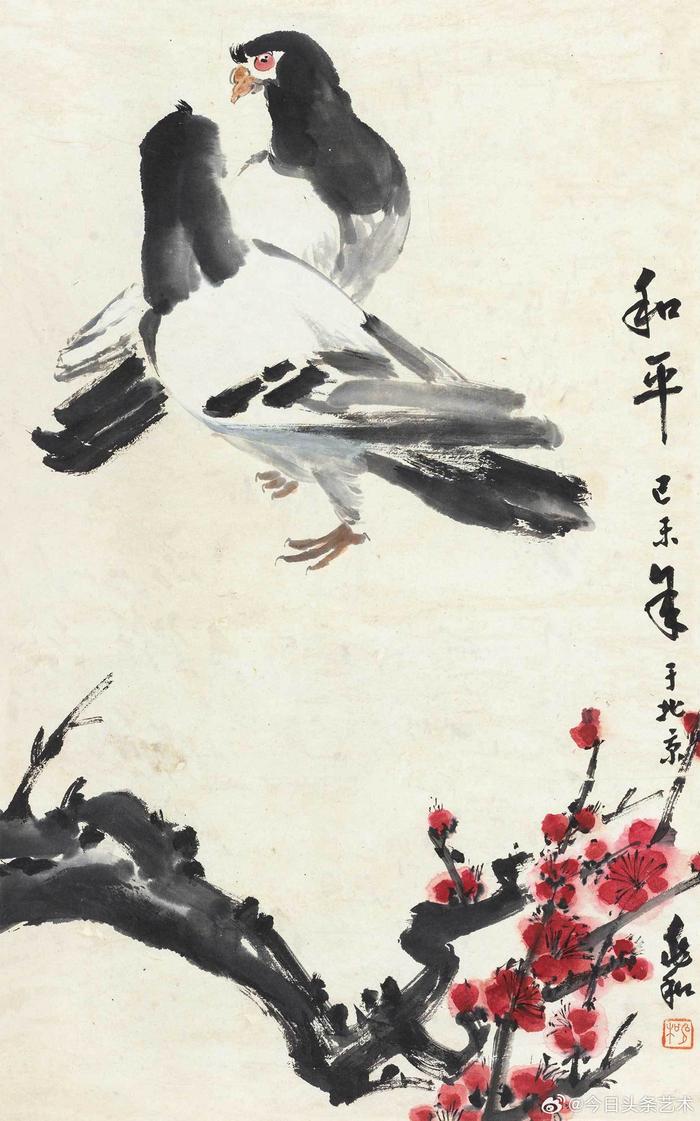 国画和平鸽的画法图片