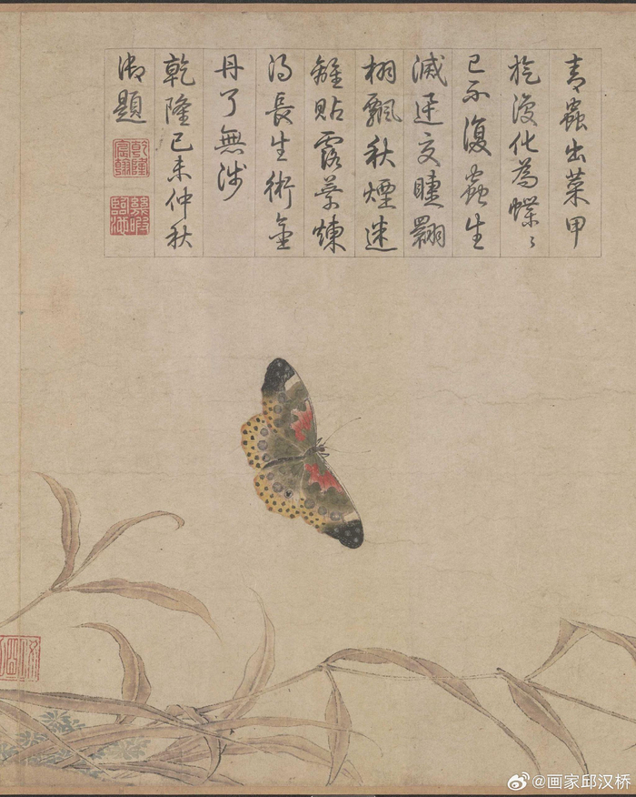 北宋赵昌《写生蛱蝶图》