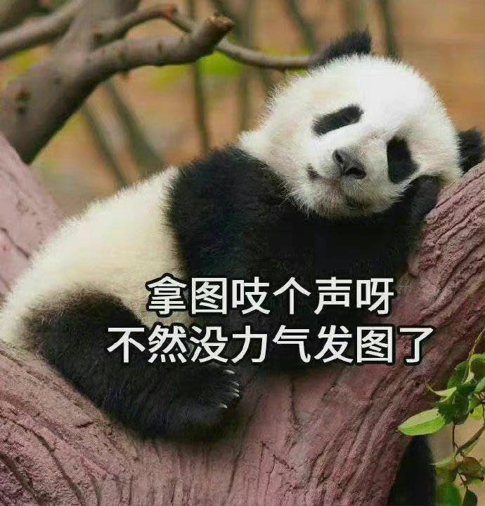 万能无字表情包