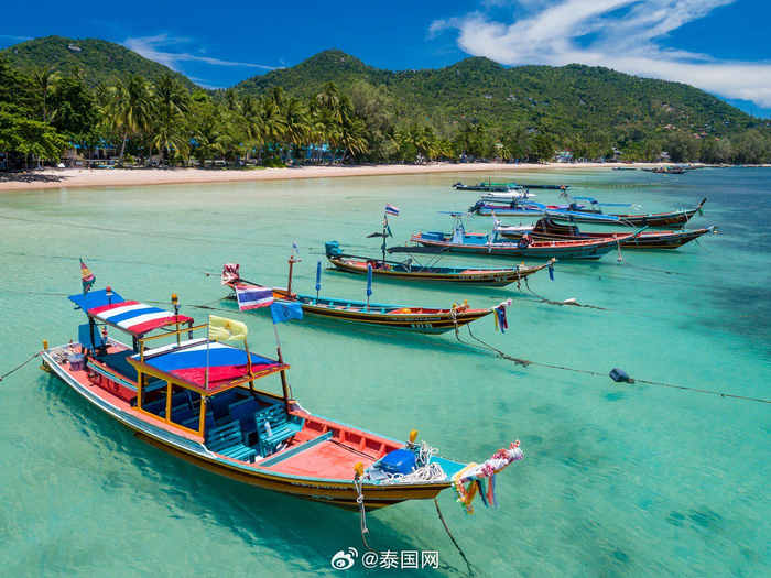 泰国龟岛kohtao
