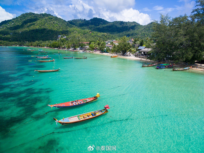 泰国龟岛kohtao