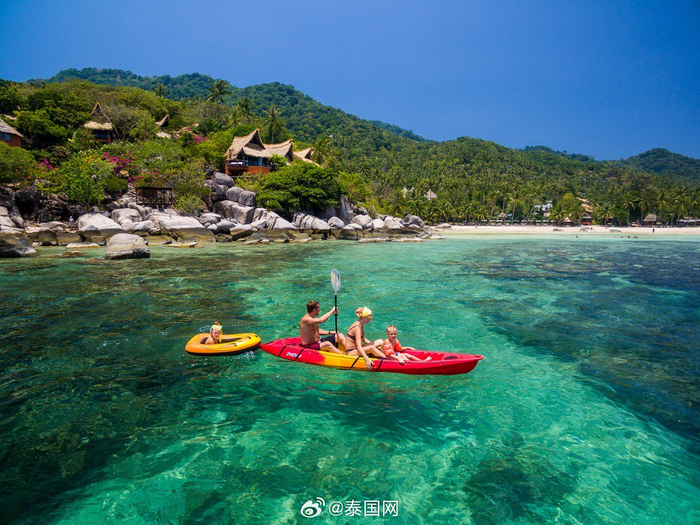 泰国龟岛kohtao