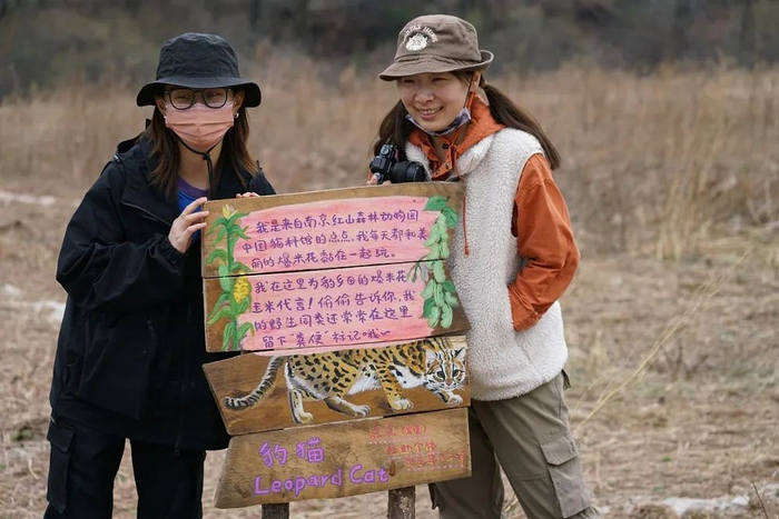 豹乡田的春天,恋爱的蟾蜍和豹子的签名板