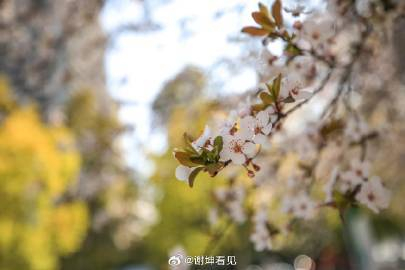 谢坤:三月和你,都是春天… → || 08等·你的故事__财经头条