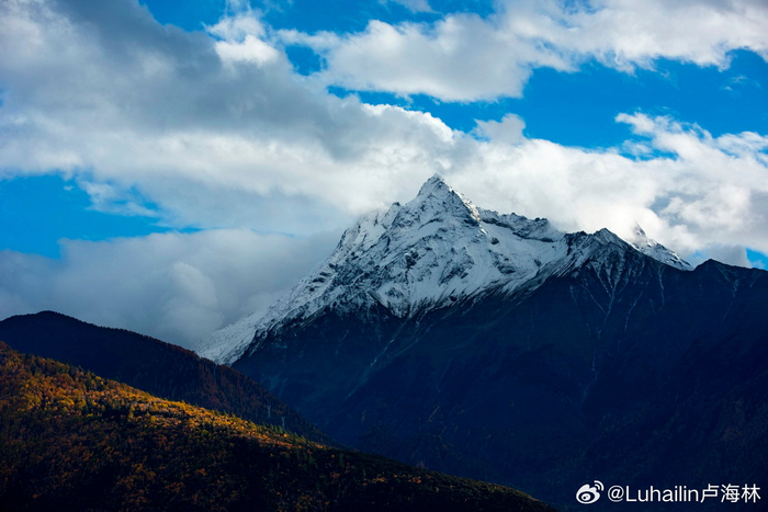 学生群体微信营销策略解析,直接添加微信的利弊与实操指南