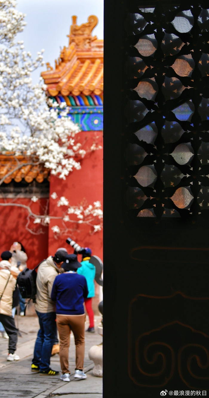 繁花三月北京地坛公园摄影