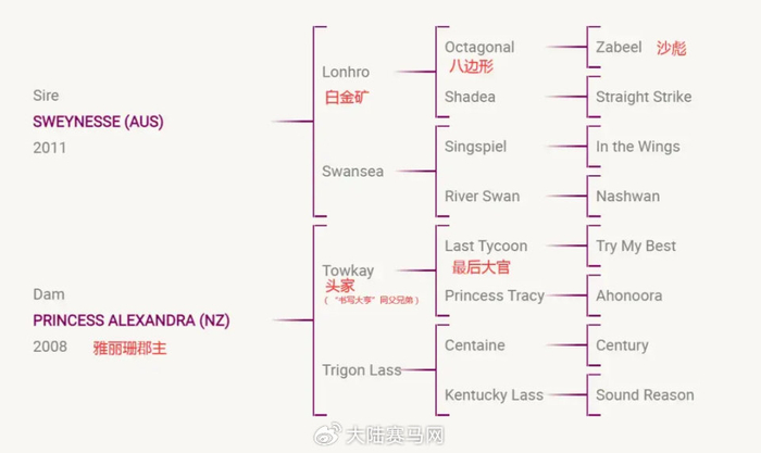 世界短途马王"金钻贵人"【现役】同父姐妹将抵达国内