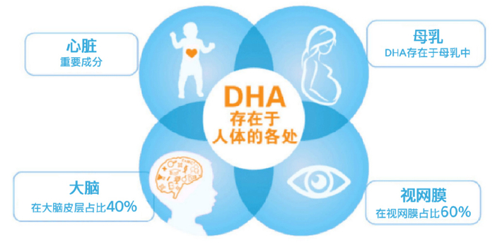 被称为“脑黄金”“眼黄金”的DHA，该怎么给孩子补？原来大有讲究|微藻|润科|脑黄金_新浪新闻