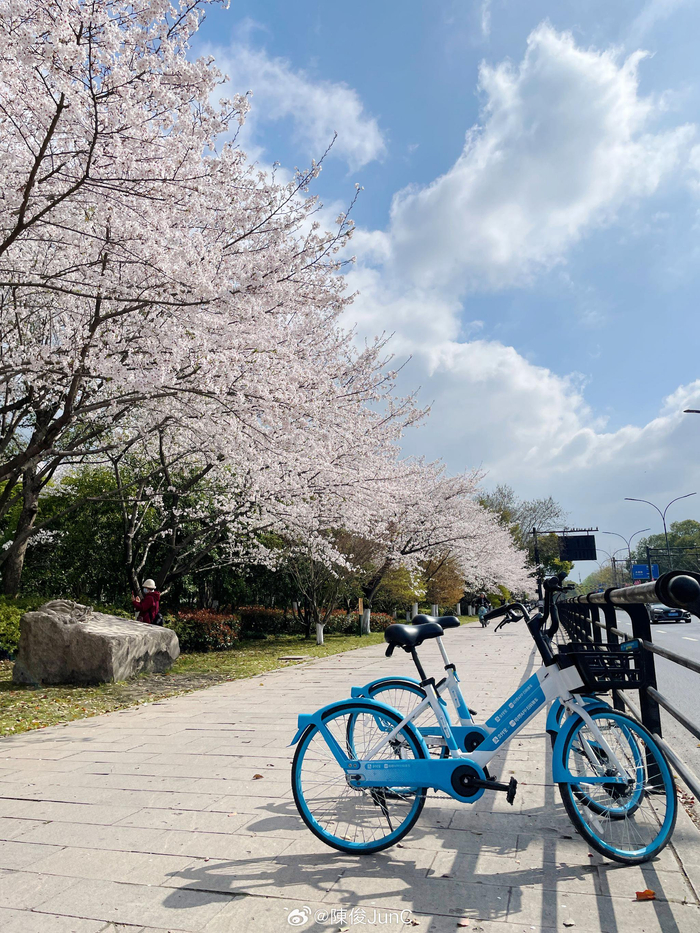 杭州白塔公园现在太美了