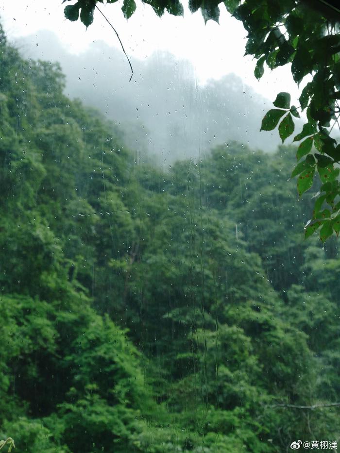 广州梅雨季图片