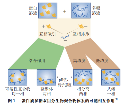 陕西科技大学姚晓琳教授等:基于Pickering乳液稳定机理的水包水乳液|乳液|颗粒|固体_新浪新闻