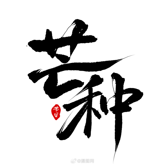 "芒种节气"🌾书法艺术字,给设计上大分🥰 ​​​ 版权素材