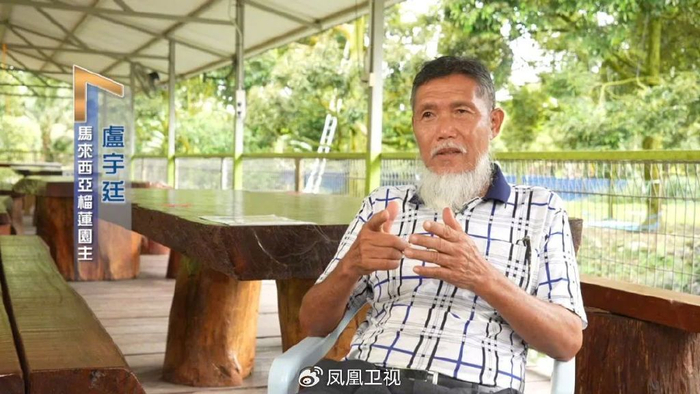 马来榴莲飘香中国凤凰聚焦
