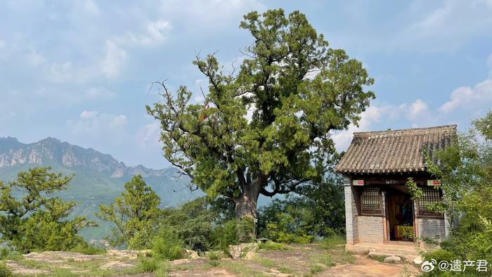 挨着悬崖修建的河北邯郸涉县清泉寺