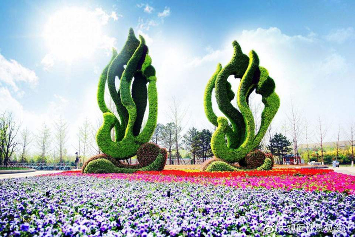 路边常见的这种绿植景观是什么你知道吗