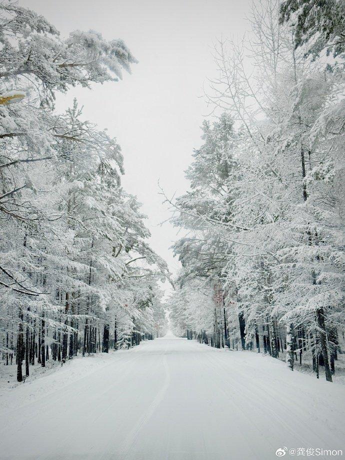 龚俊 随手拍分享 好美的冬日雪景啊,入眼处都是白茫茫的一片,感觉很