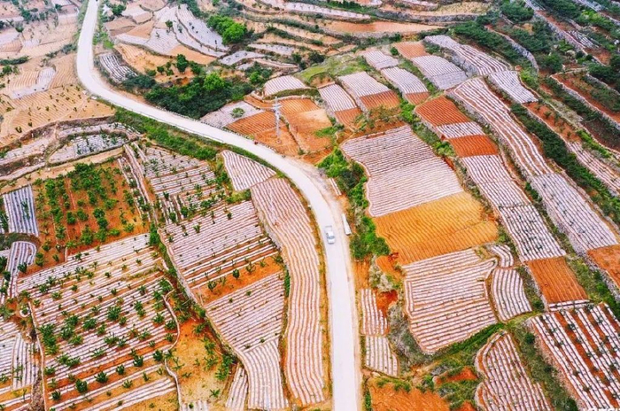 无需门票,山东的 "调色盘" 已上线|章丘|梯田|五莲_新浪新闻