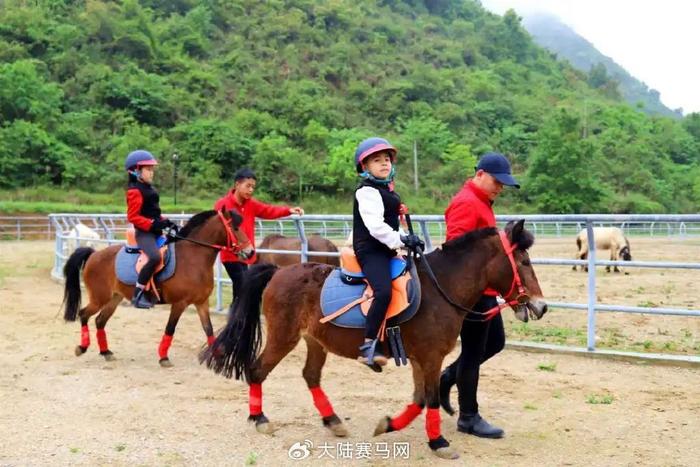 中国骑矮马图片